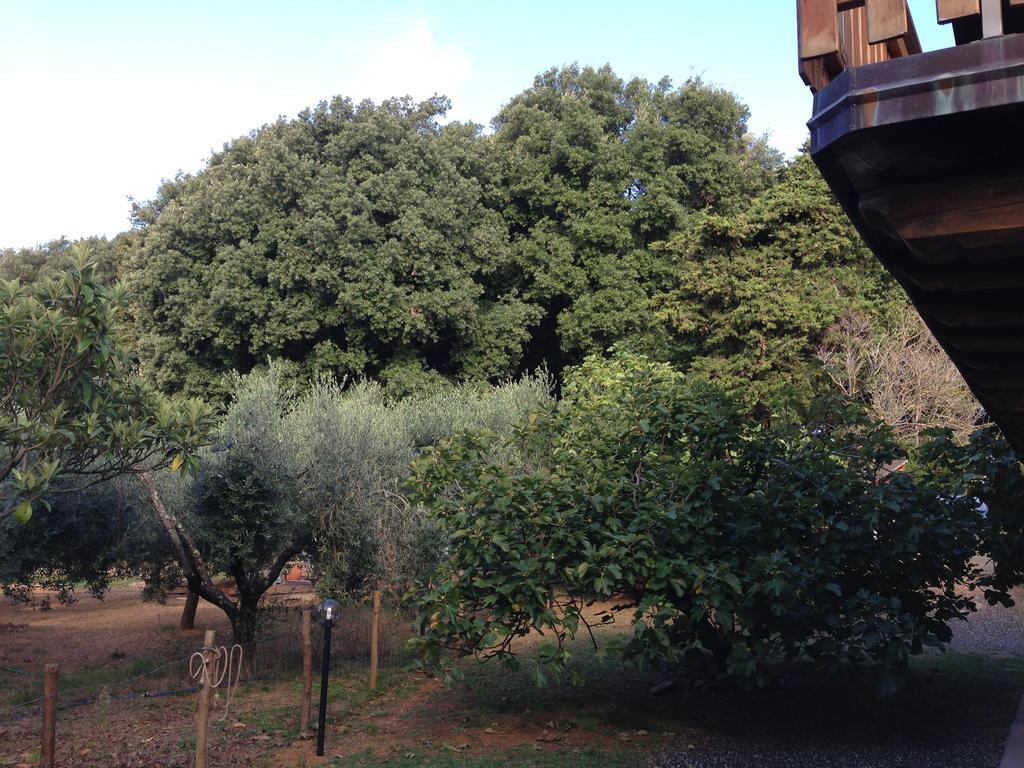 Agriturismo "La Rosa Canina" Panzió Lerici Kültér fotó